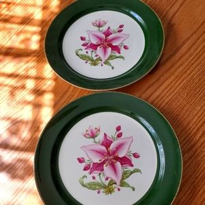 Taylor Smith plates